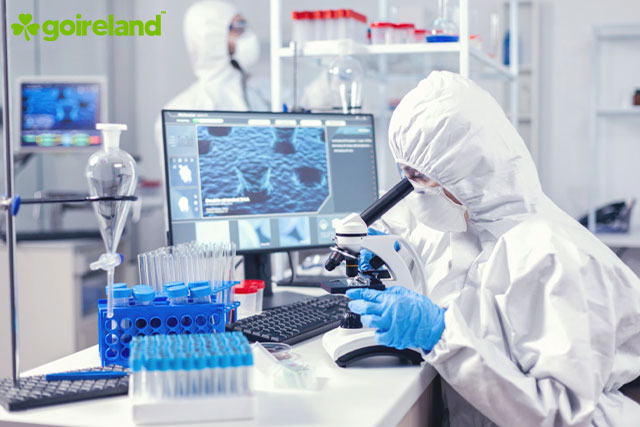 Bioinformatics in Ireland